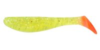 T029